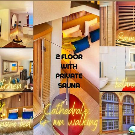 Apartment Duplex With Sauna City- Center Cathedrale Strasbourg Luaran gambar